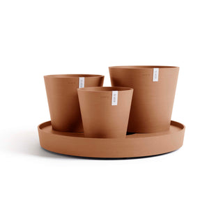 5413724329664_00-Dubai-Terra