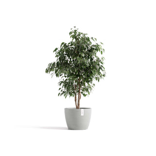 5413724329862_01-Stockholm-31-White-Grey