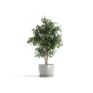 5413724329862_11-Stockholm-31-White-Grey