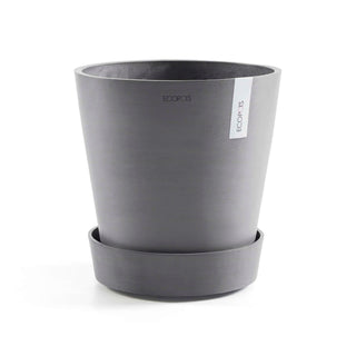 5413724330226_01-Saucer-Wheels-60-Grey