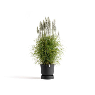 5413724330356_11-Saucer-Wheels-Oslo-45-Dark-Grey