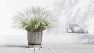 5413724330394_90-Saucer-Wheels-Oslo-55-Taupe