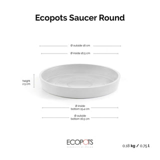 5413724331414_80-Saucer-Round-20-Pure-White