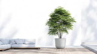 5413724332275_90-Oslo-75-White-Grey