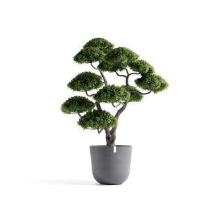 5413724332299_01-Oslo-75-Grey