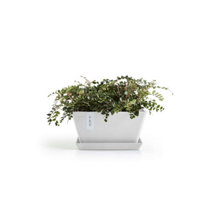 5413724332510_11-Berlin-30-Pure-White