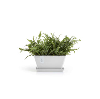 5413724332510_12-Berlin-30-Pure-White