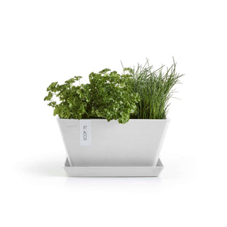 5413724332510_13-Berlin-30-Pure-White