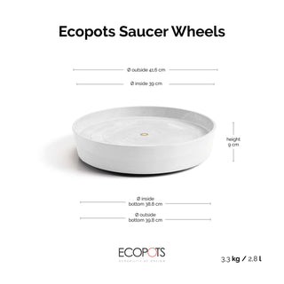 5413724332893_80-Saucer-Wheels-50-Pure-White