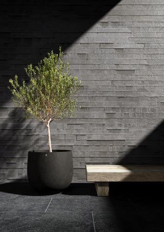 Mondo 84 Brown stone