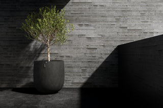 Mondo 100 Brown stone