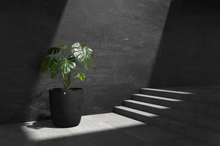 5413724337294_90 Juno 60 Brown Stone