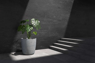 5413724337355_90 Juno 60 Concrete Stone