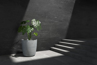 Juno 60 Concrete stone