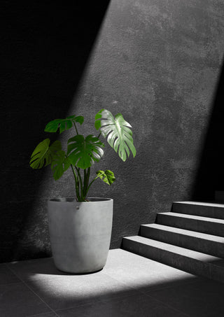 Juno 60 Concrete stone