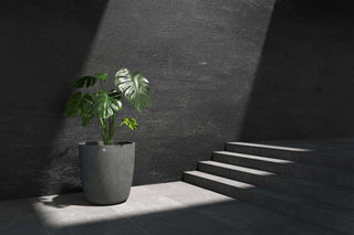 5413724337478_90 Juno 60 Grey Stone