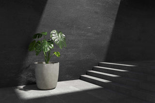 5413724337607_90 Juno 70 Taupe Stone