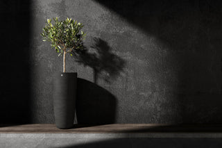 Lofto 37 Brown stone