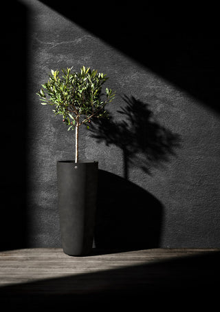 Lofto 37 Brown stone