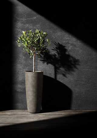 Lofto 37 River stone