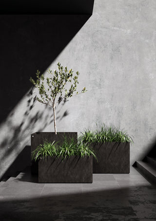 Semplo grand 100 Brown stone - bilde 3