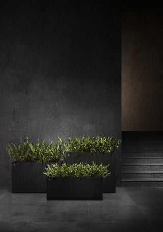Semplito 80 Brown stone