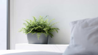 5413724340492_90-Tokyo-40-Blue-Grey