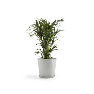 5413724340515_12-Amsterdam-70-White-Grey