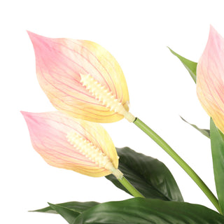 Artificial Spathiphyllum Patinii 47CM Pink