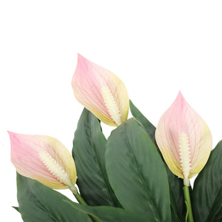 Artificial Spathiphyllum Patinii 47CM Pink
