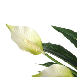 Artificial Spathiphyllum Patinii 47CM White