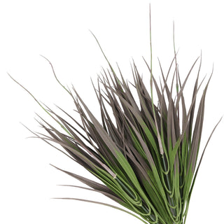 Brown Edge Plant 35CM UV FR