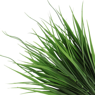 Fresh Green Edge Plant 35CM UV FR