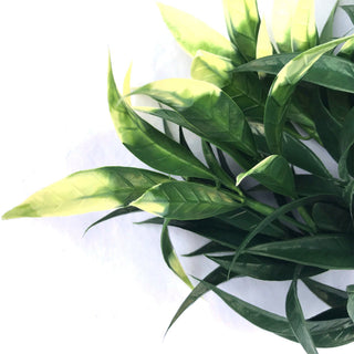 Lush Green Plus White 32CM UV FR