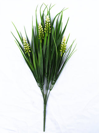 Big Lavender White 50CM UV FR