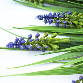 Big Lavender Purple 50CM UV FR