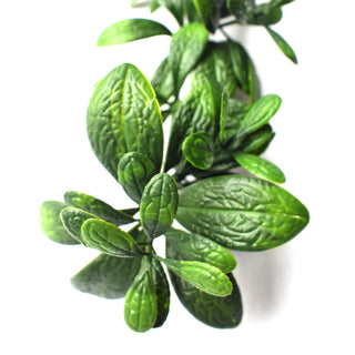 Cypress leaves (Dark Green) 23CM UV FR