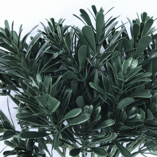 Cypress leaves (Dark Green) 23CM UV FR