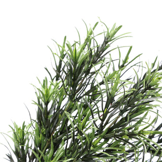 Podocarpus Green 40CM UV FR