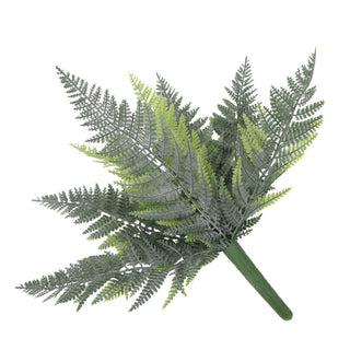 Premium Persian Fern High Quality Small 40CM UV