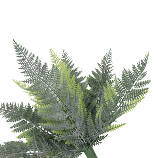 Premium Persian Fern High Quality Small 40CM UV