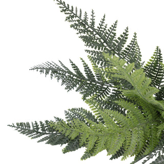 Premium Persian Fern High Quality Small 40CM UV