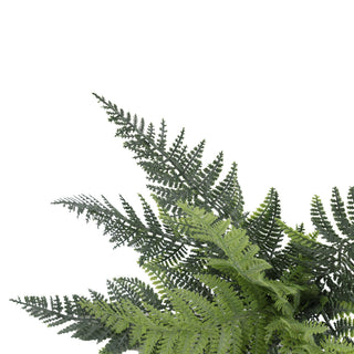 Premium Persian Fern High Quality Small 40CM UV