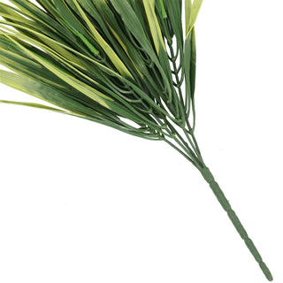 Yellow Edge Plant 35CM UV FR