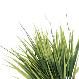 Yellow Edge Plant 35CM UV FR