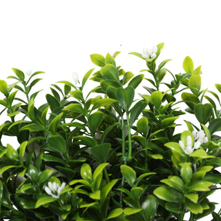 Fresh Green Boxwood with White Flower 32CM Length Outdoor UV