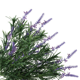 44CM Big Podocarpus Green Plus Purple Lavender