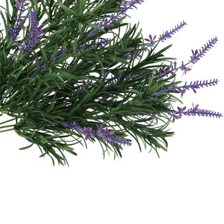 44CM Big Podocarpus Green Plus Purple Lavender