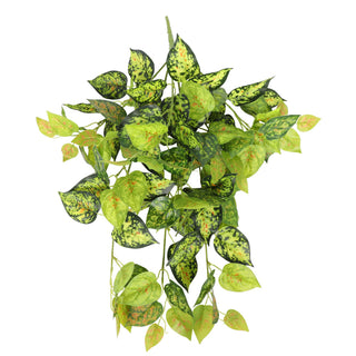 Red Green Evergreen Hanging Bush 60CM Length Indoor