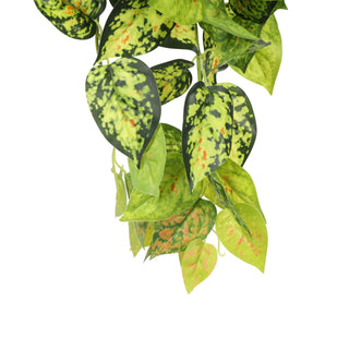 Red Green Evergreen Hanging Bush 60CM Length Indoor